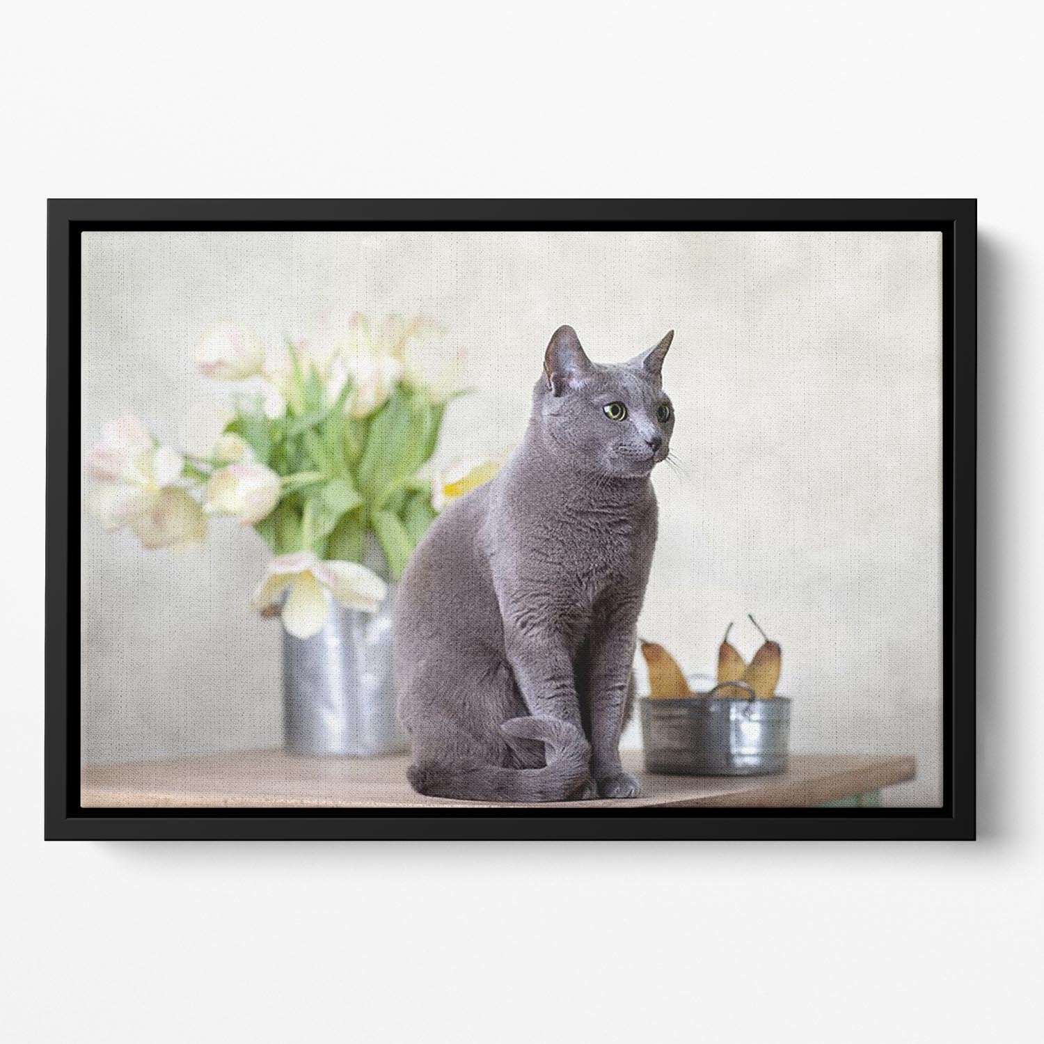 Russian Blue cat sitting on table with pears and tulips Floating Framed Canvas - Canvas Art Rocks - 2
