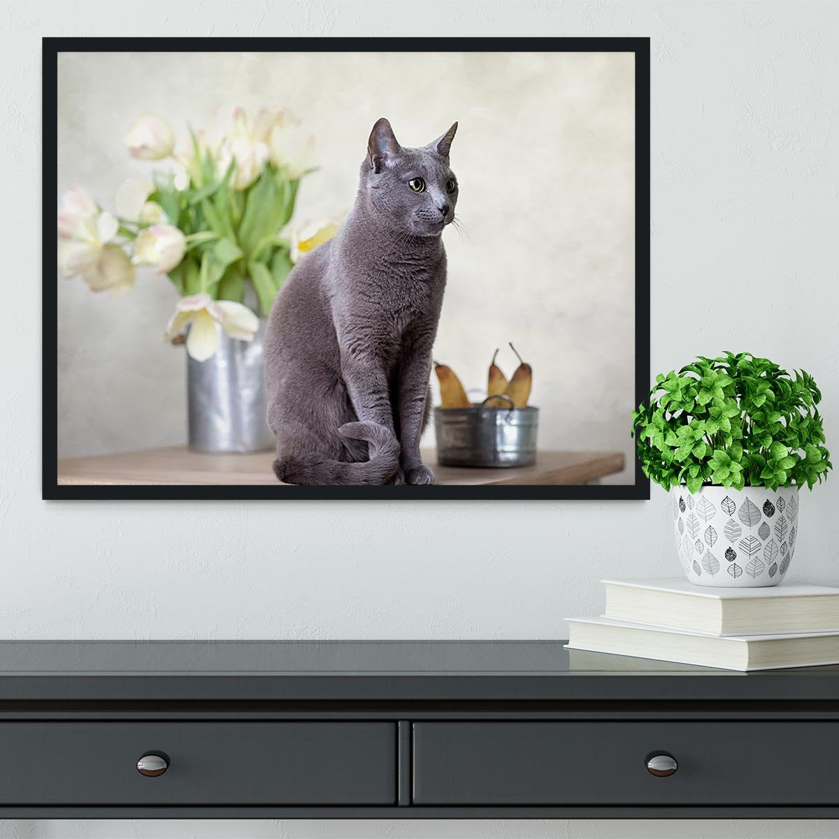 Russian Blue cat sitting on table with pears and tulips Framed Print - Canvas Art Rocks - 2