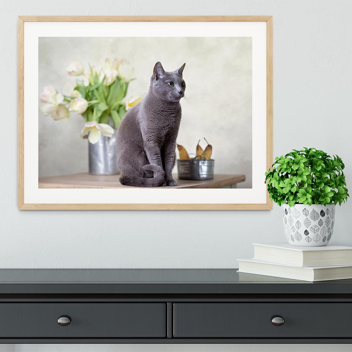 Russian Blue cat sitting on table with pears and tulips Framed Print - Canvas Art Rocks - 3