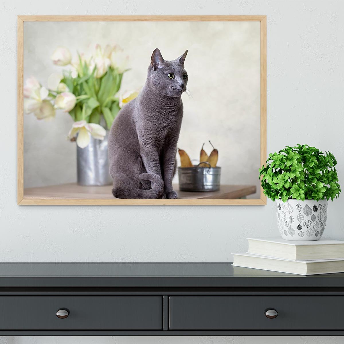 Russian Blue cat sitting on table with pears and tulips Framed Print - Canvas Art Rocks - 4