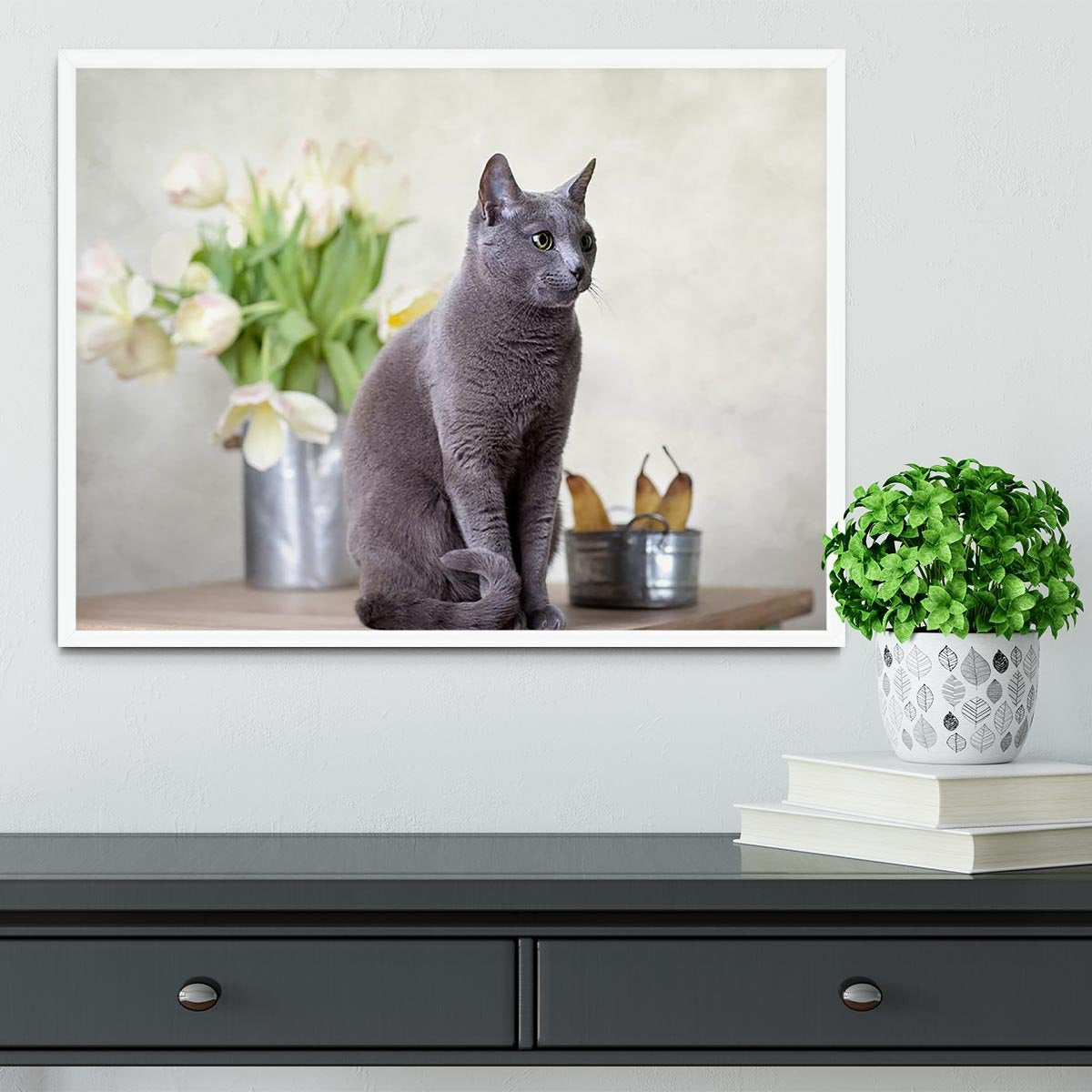 Russian Blue cat sitting on table with pears and tulips Framed Print - Canvas Art Rocks -6