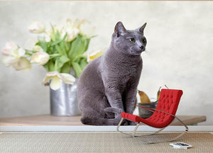 Russian Blue cat sitting on table with pears and tulips Wall Mural Wallpaper - Canvas Art Rocks - 2