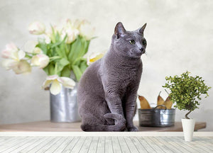 Russian Blue cat sitting on table with pears and tulips Wall Mural Wallpaper - Canvas Art Rocks - 4