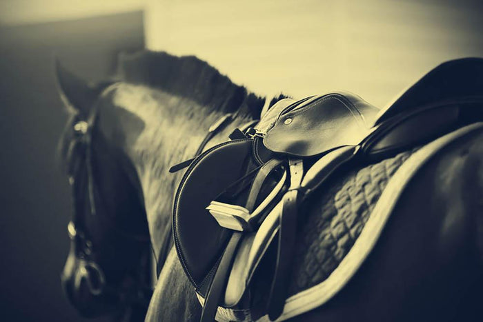 Saddle with stirrups on a back of a sport horse Wall Mural Wallpaper