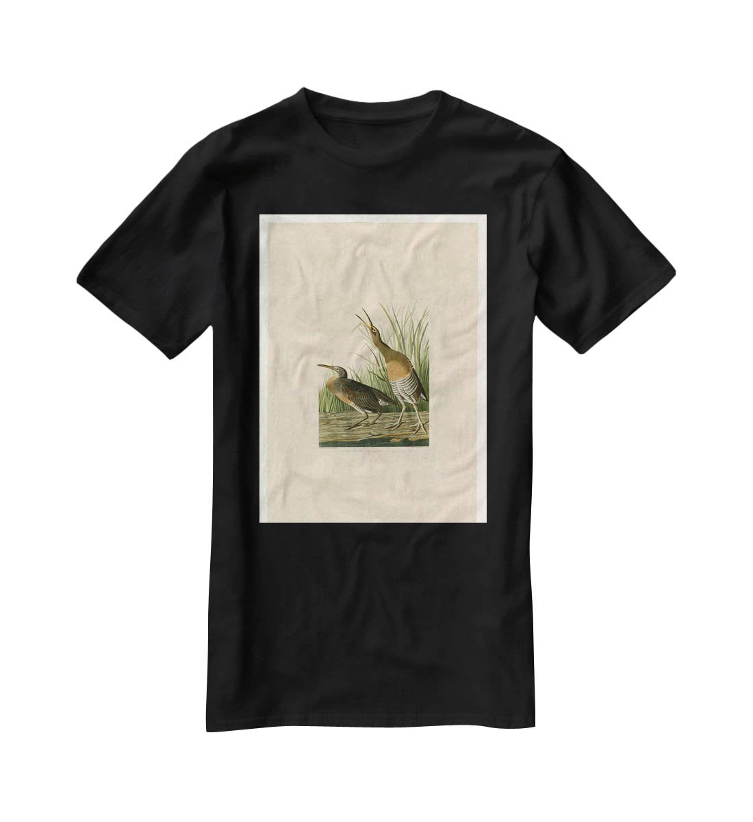 Salt Water Marsh Hen by Audubon T-Shirt - Canvas Art Rocks - 1