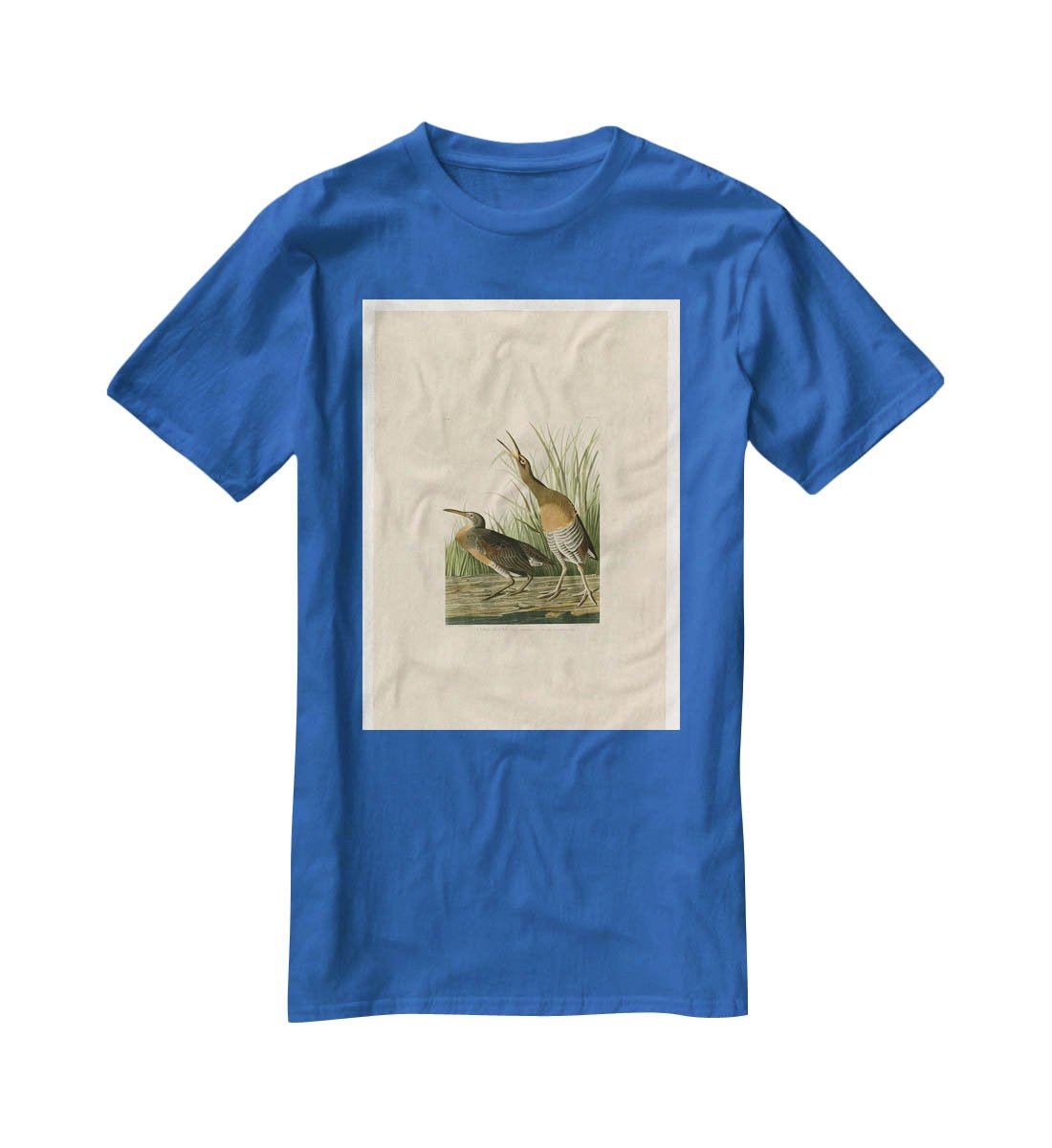 Salt Water Marsh Hen by Audubon T-Shirt - Canvas Art Rocks - 2