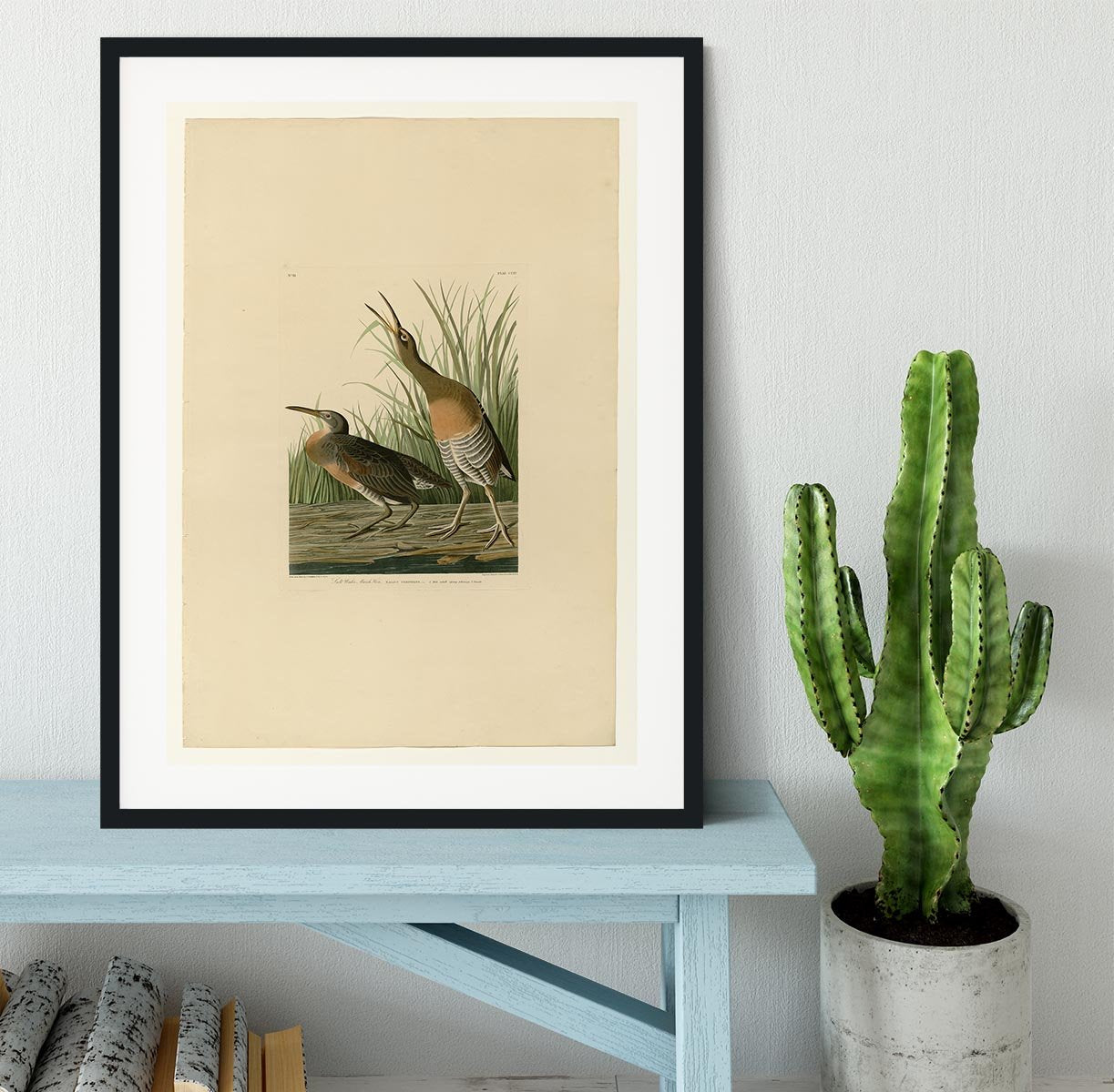 Salt Water Marsh Hen by Audubon Framed Print - Canvas Art Rocks - 1