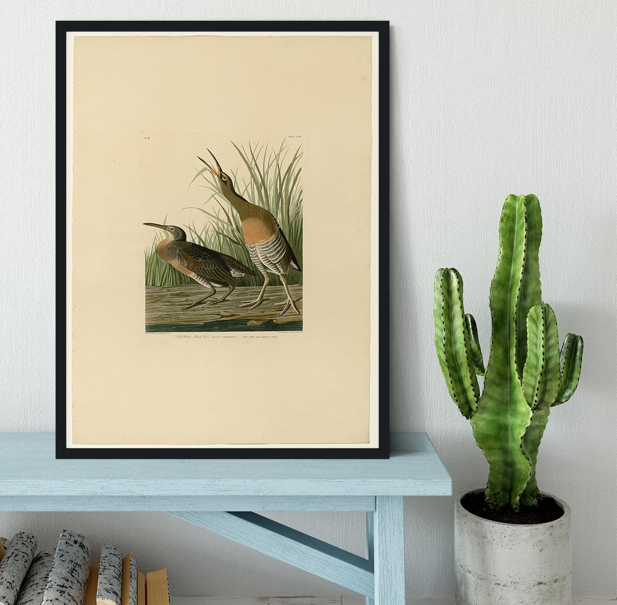 Salt Water Marsh Hen by Audubon Framed Print - Canvas Art Rocks - 2