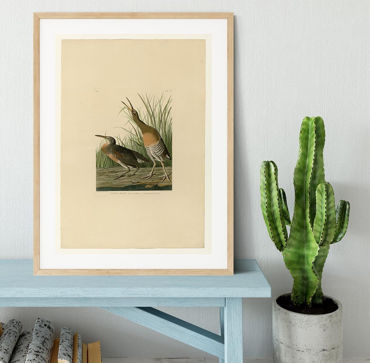 Salt Water Marsh Hen by Audubon Framed Print - Canvas Art Rocks - 3