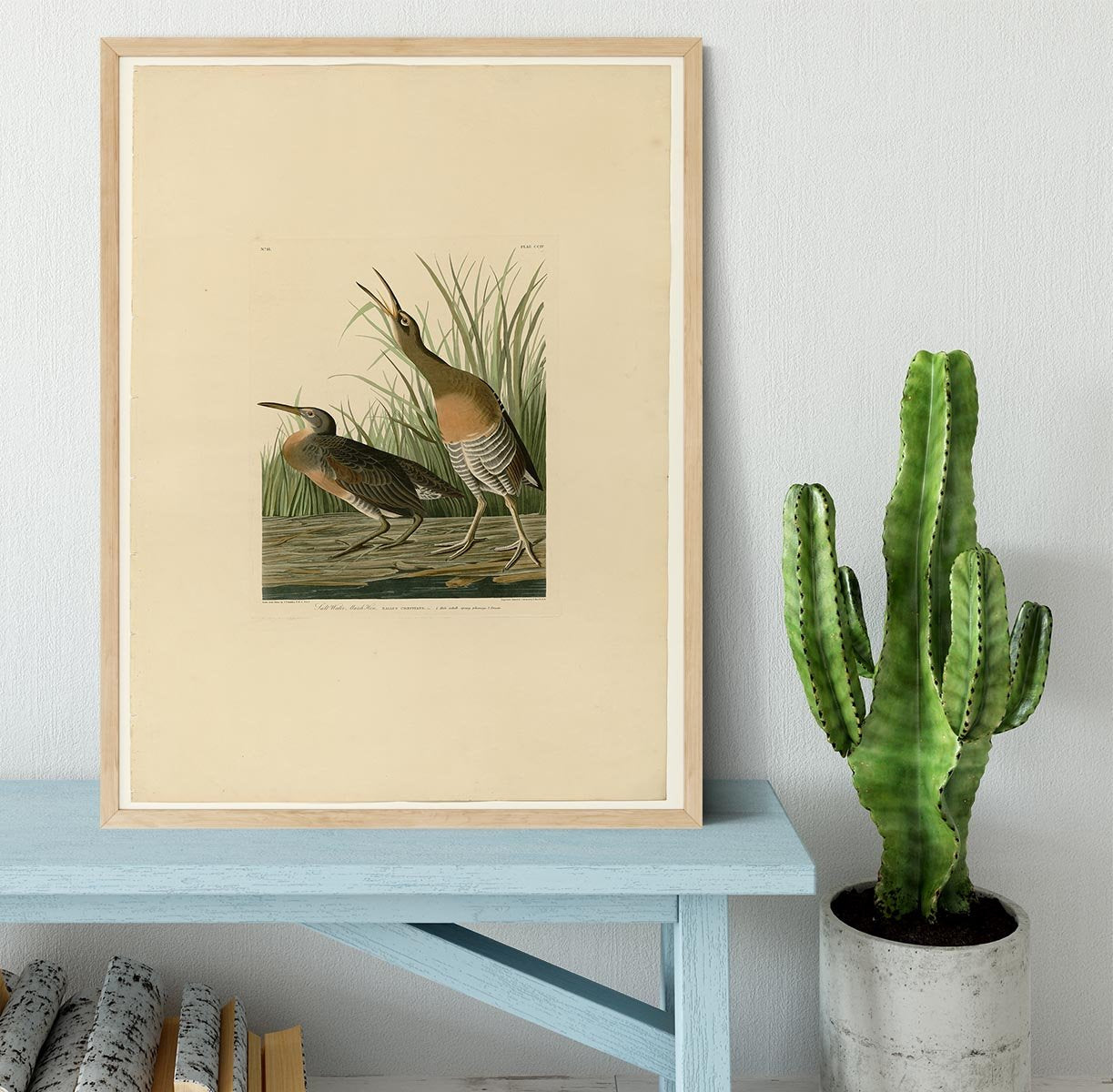 Salt Water Marsh Hen by Audubon Framed Print - Canvas Art Rocks - 4