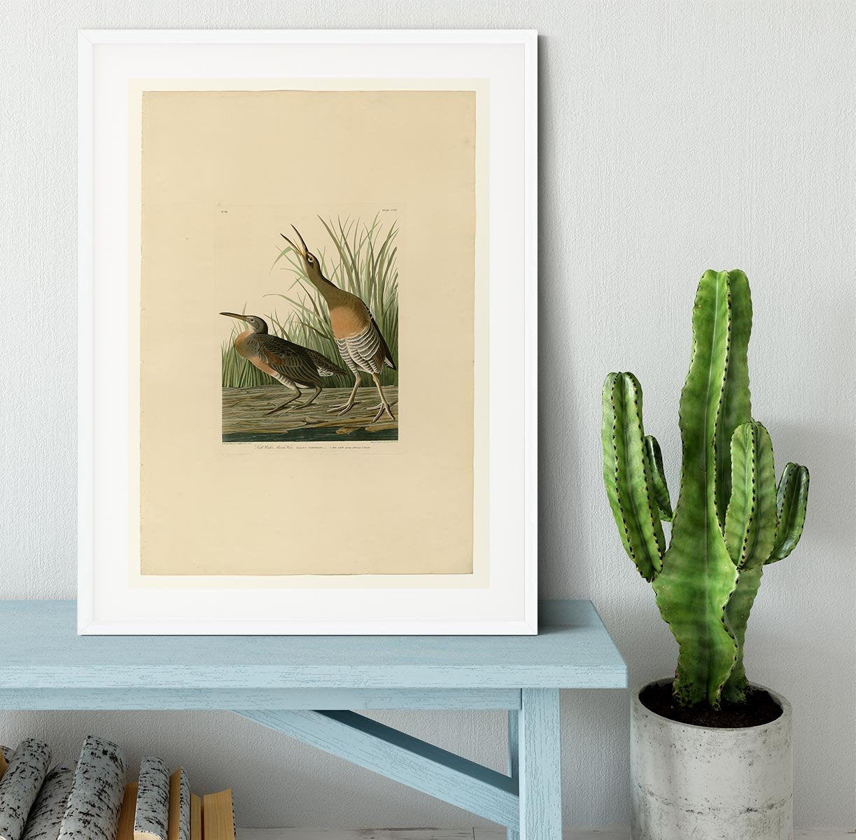 Salt Water Marsh Hen by Audubon Framed Print - Canvas Art Rocks - 5