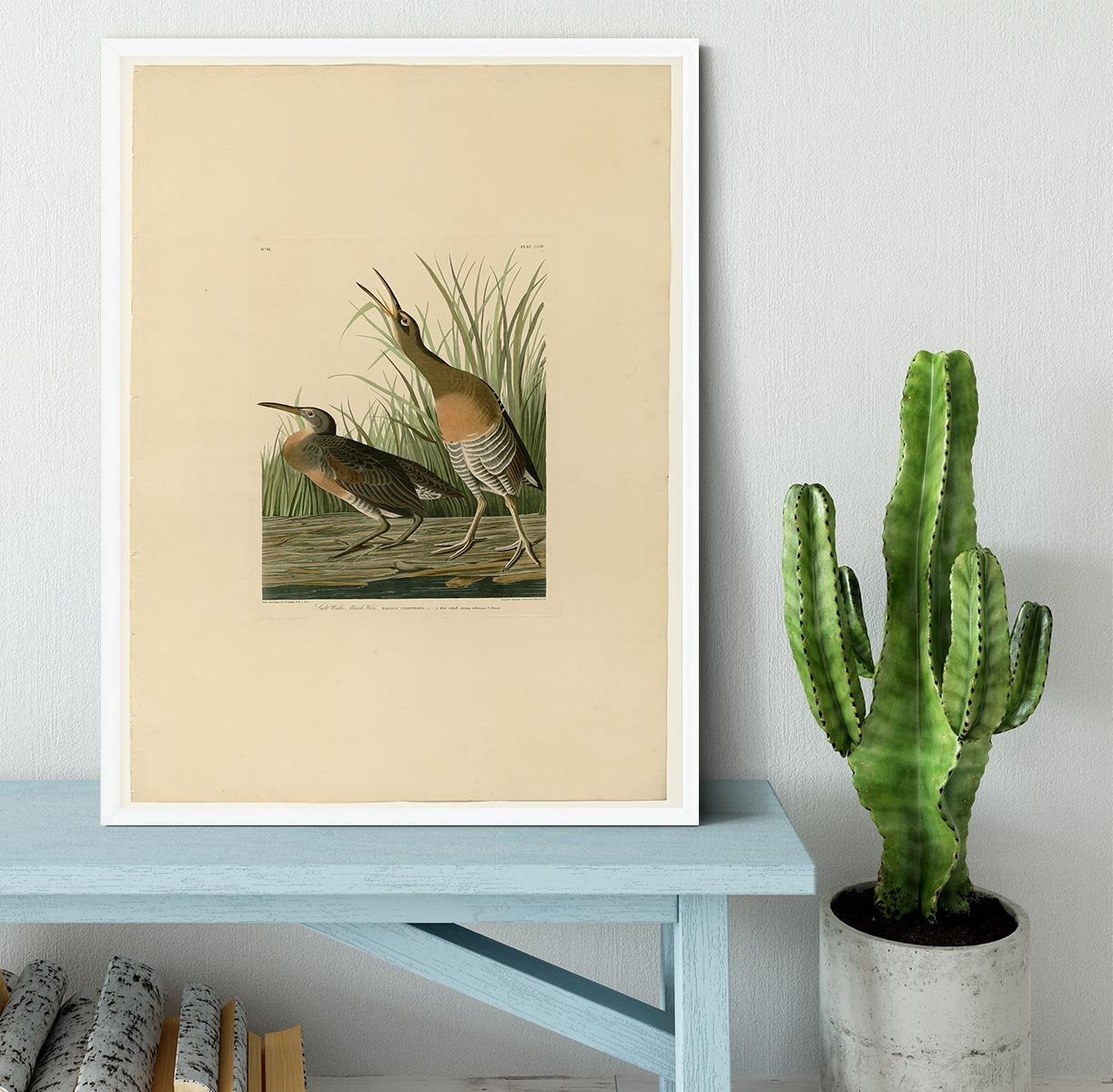 Salt Water Marsh Hen by Audubon Framed Print - Canvas Art Rocks -6