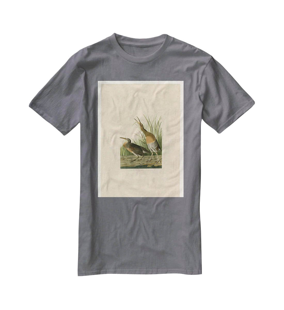 Salt Water Marsh Hen by Audubon T-Shirt - Canvas Art Rocks - 3