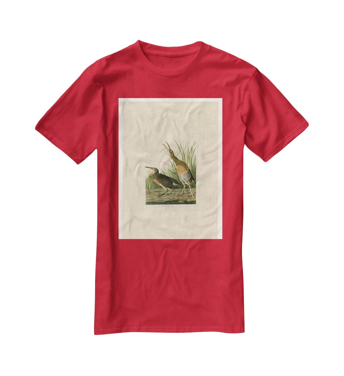 Salt Water Marsh Hen by Audubon T-Shirt - Canvas Art Rocks - 4