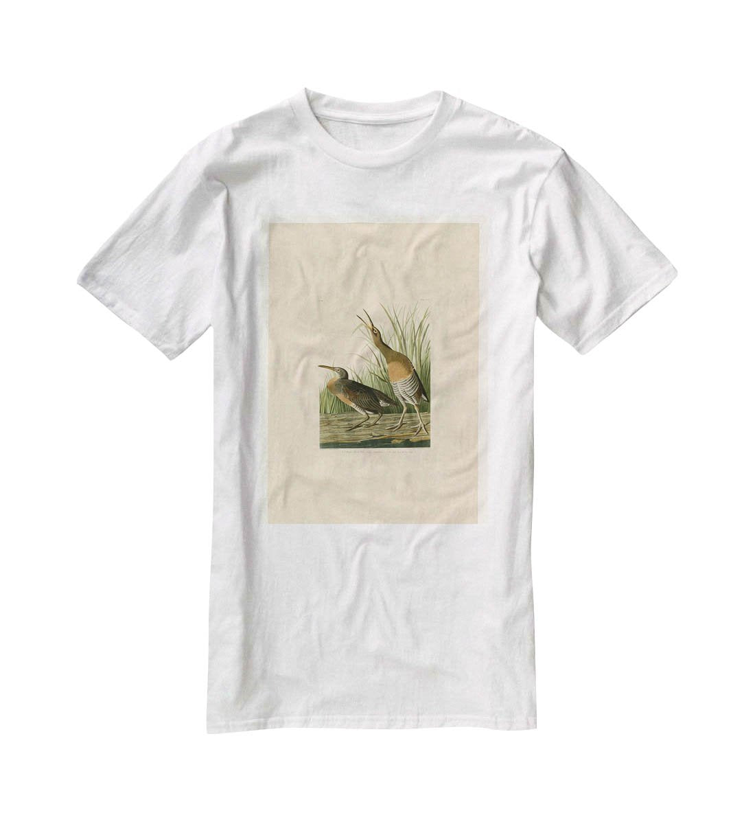 Salt Water Marsh Hen by Audubon T-Shirt - Canvas Art Rocks - 5