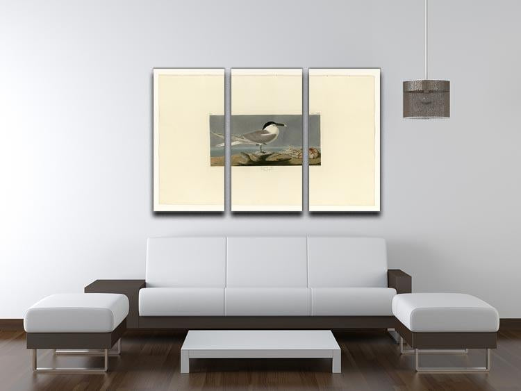 Sandwich Tern by Audubon 3 Split Panel Canvas Print - Canvas Art Rocks - 3