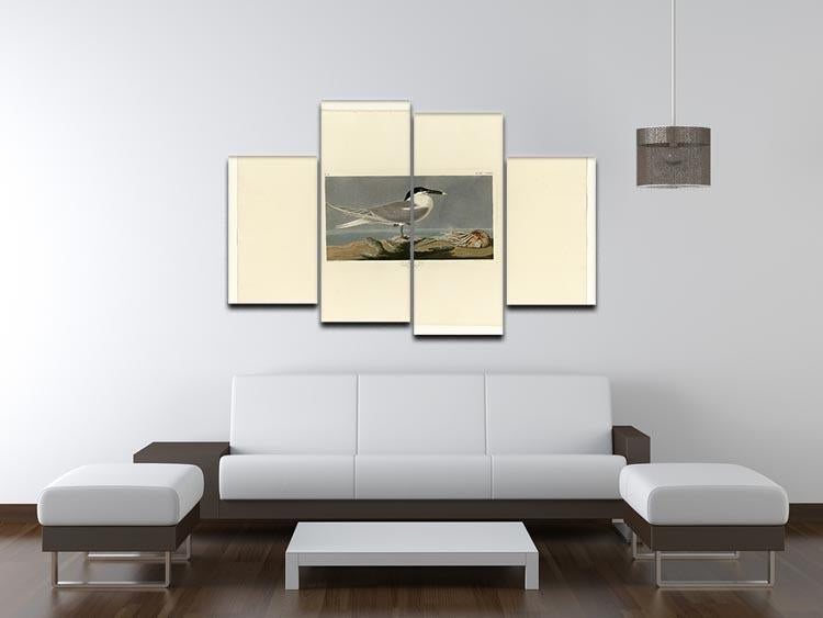 Sandwich Tern by Audubon 4 Split Panel Canvas - Canvas Art Rocks - 3