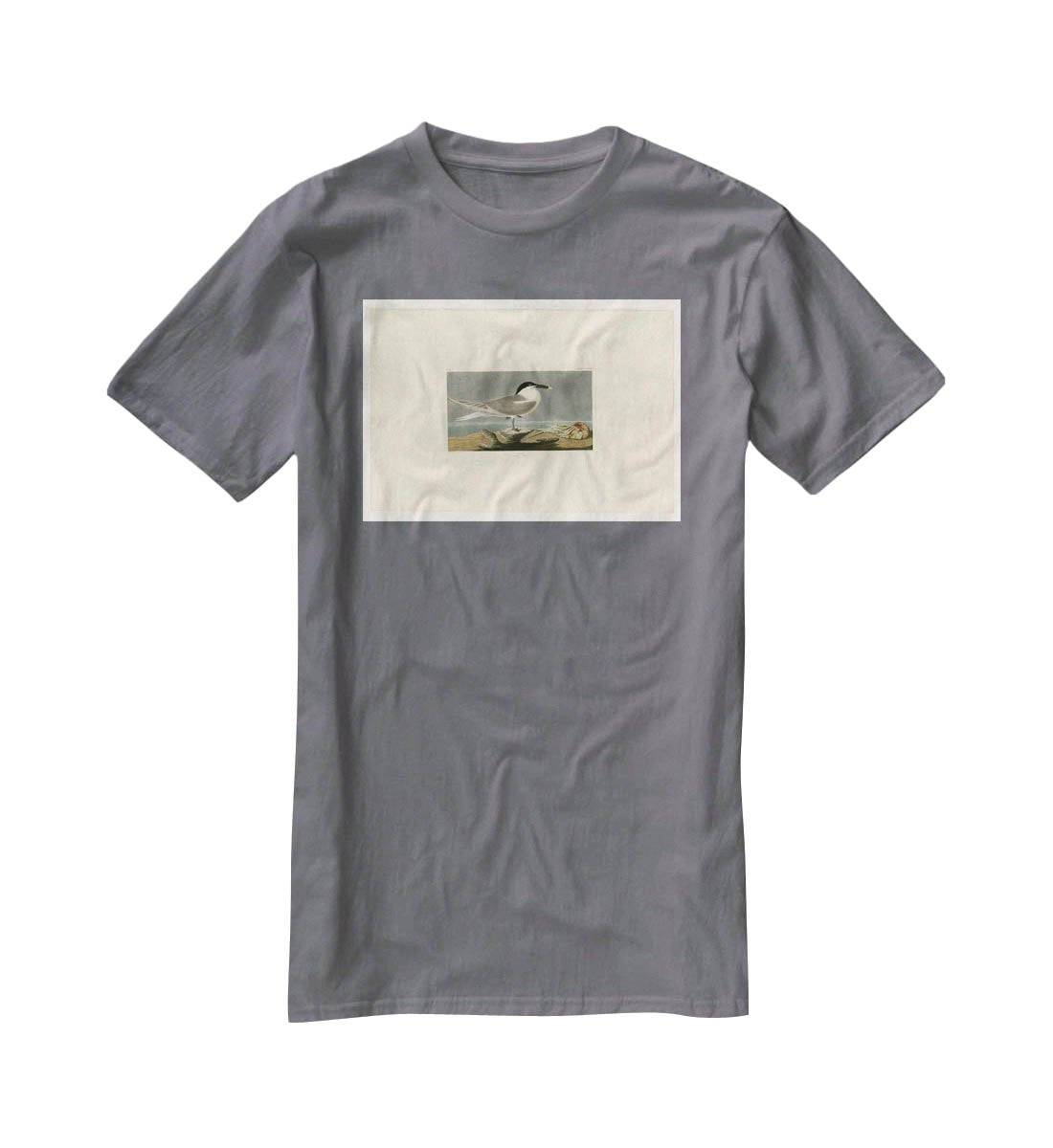 Sandwich Tern by Audubon T-Shirt - Canvas Art Rocks - 3