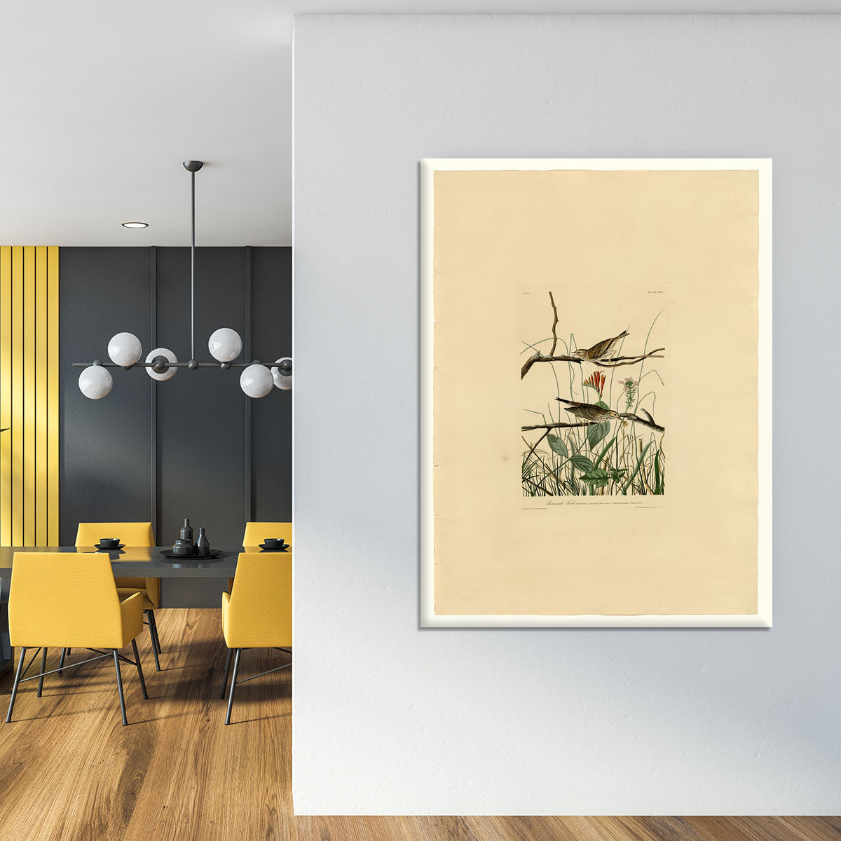 Savannah Finch by Audubon Canvas Print or Poster - Canvas Art Rocks - 4