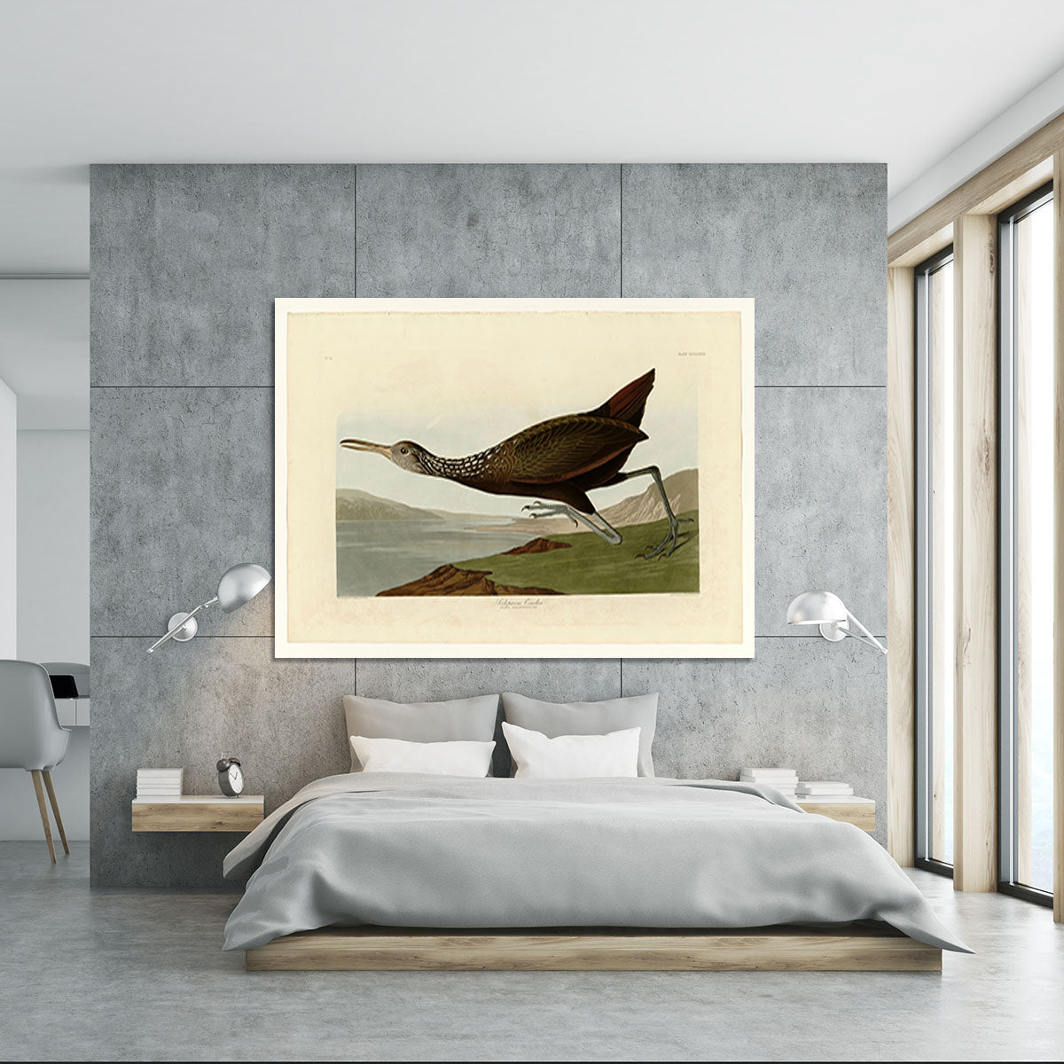 Scolopaceus Courlan by Audubon Canvas Print or Poster - Canvas Art Rocks - 5