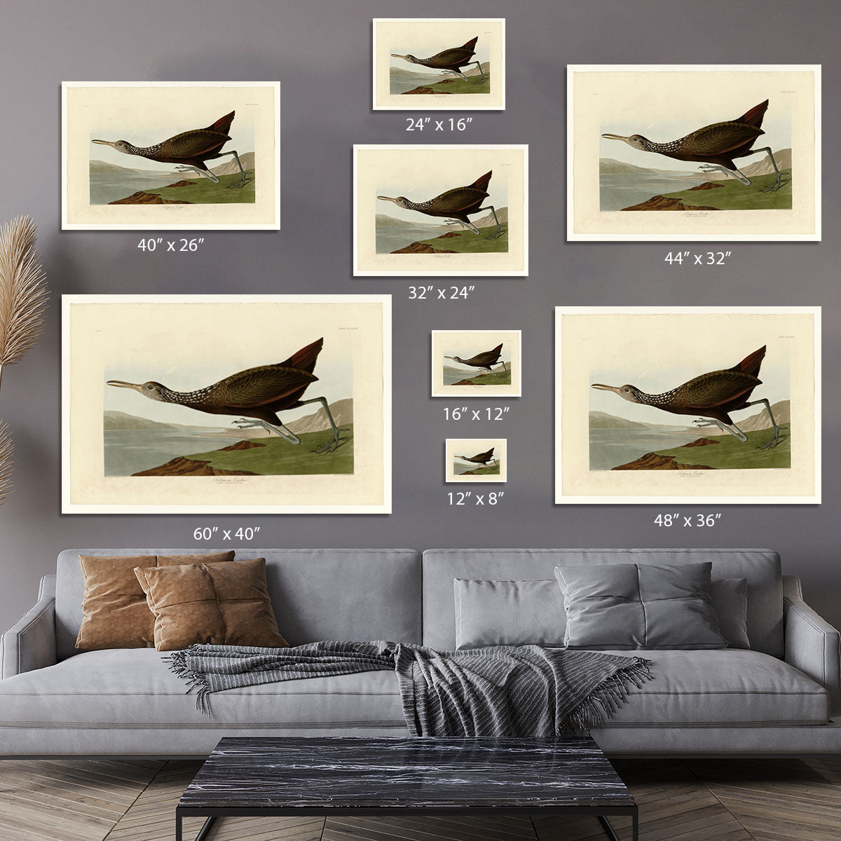 Scolopaceus Courlan by Audubon Canvas Print or Poster - Canvas Art Rocks - 7