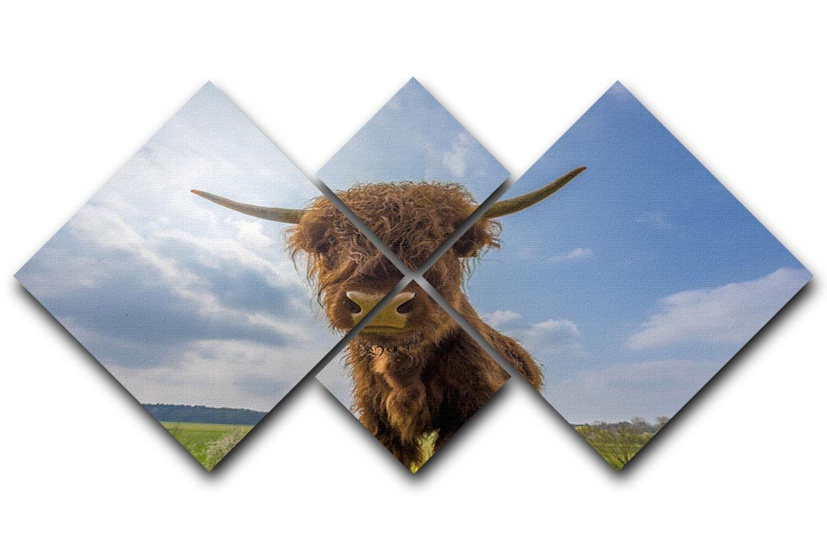 Scottish highland cattle on a pasture 4 Square Multi Panel Canvas - Canvas Art Rocks - 1