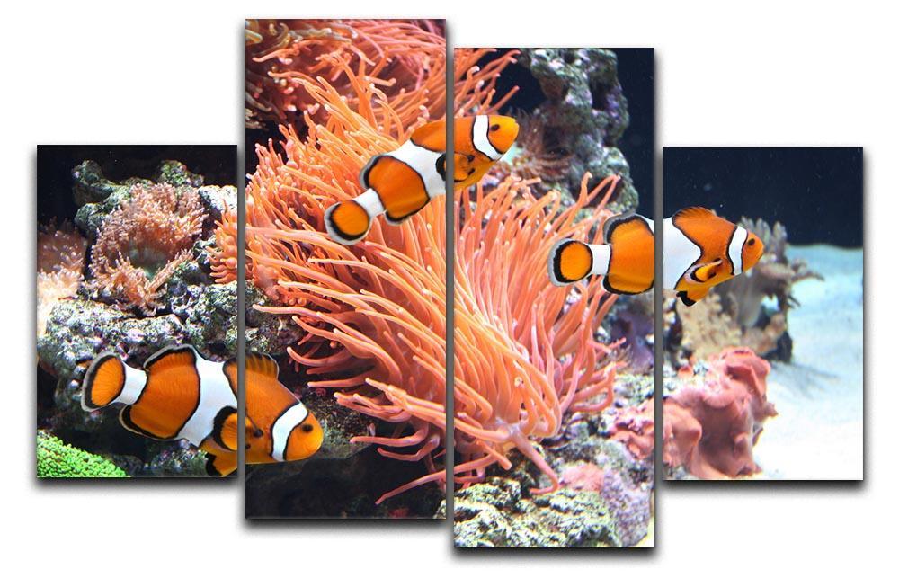 Sea anemone 4 Split Panel Canvas  - Canvas Art Rocks - 1