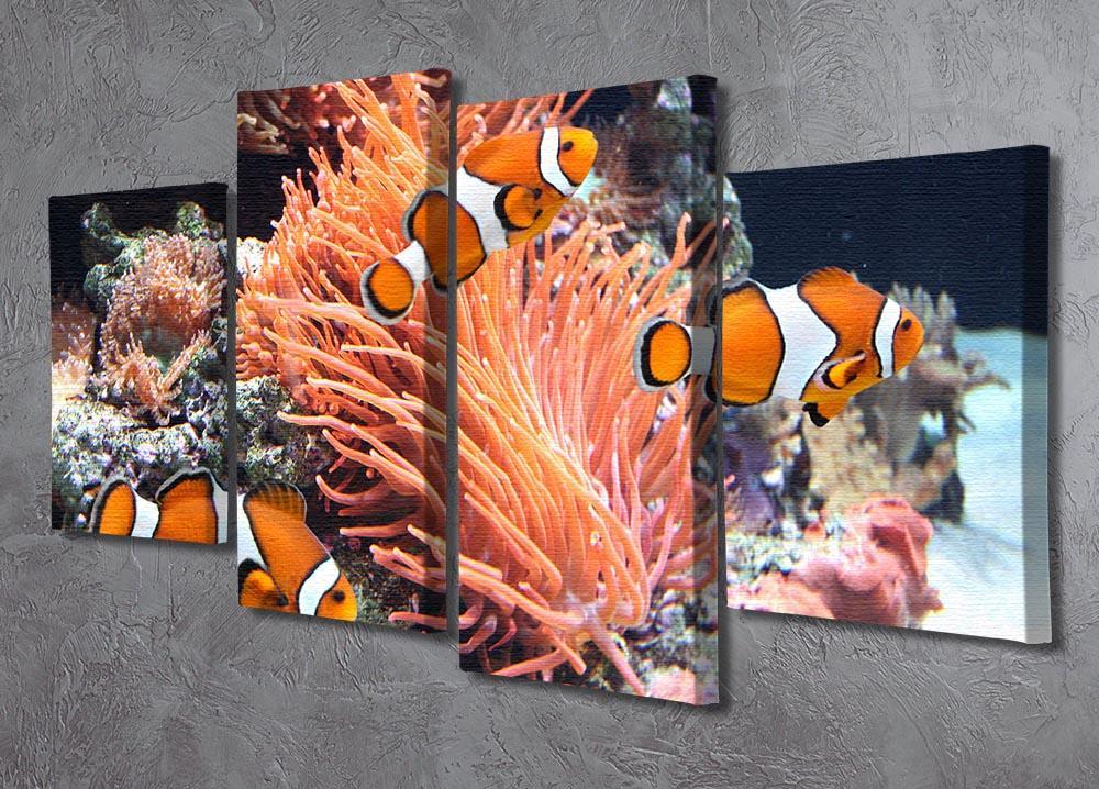 Sea anemone 4 Split Panel Canvas  - Canvas Art Rocks - 2