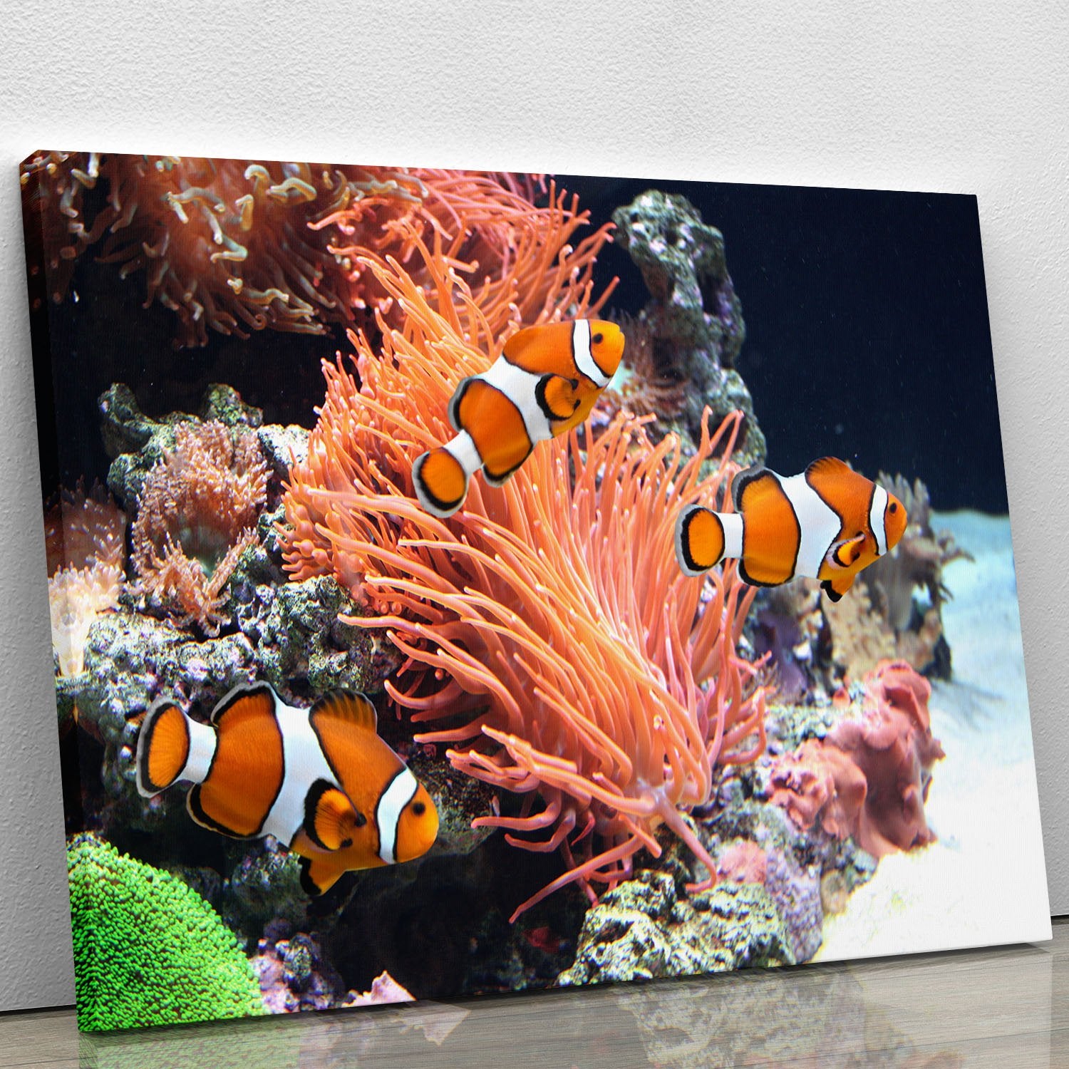 Sea anemone Canvas Print or Poster