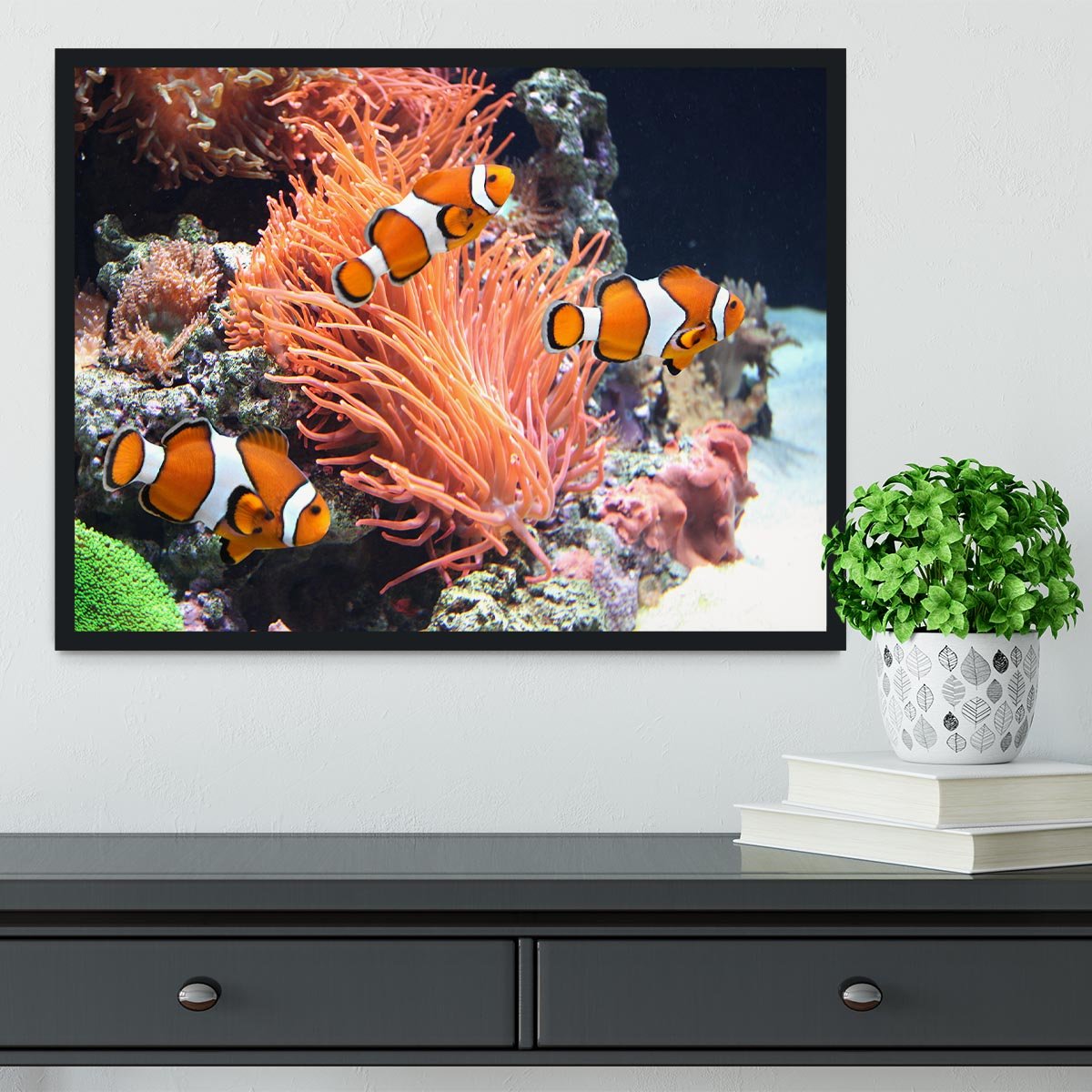 Sea anemone Framed Print - Canvas Art Rocks - 2