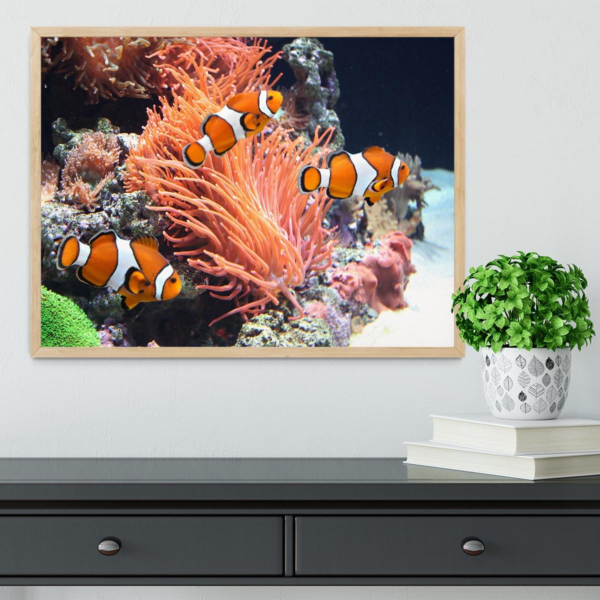 Sea anemone Framed Print - Canvas Art Rocks - 4