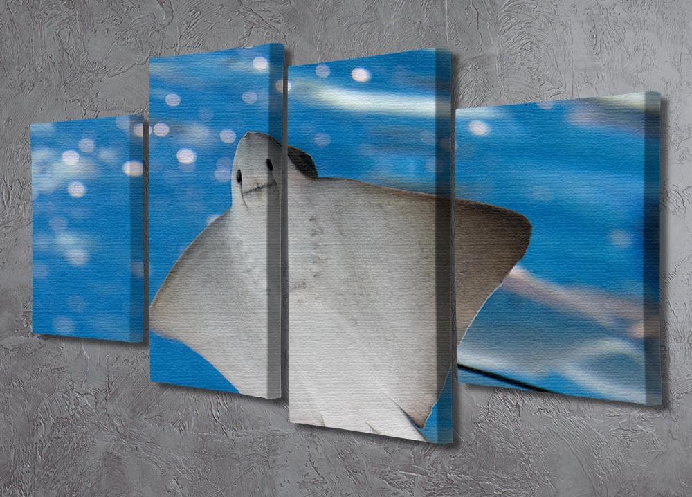 Sea stingray and marine life 4 Split Panel Canvas  - Canvas Art Rocks - 2