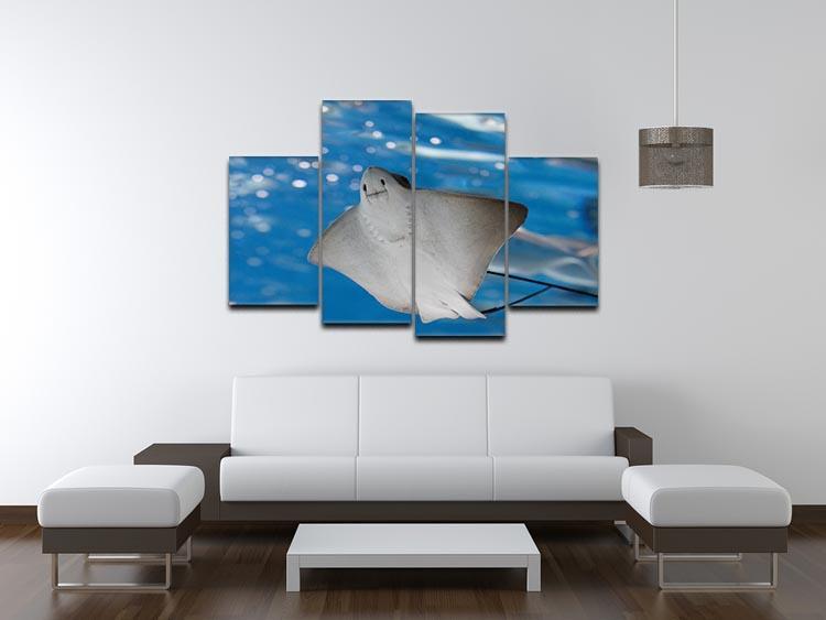 Sea stingray and marine life 4 Split Panel Canvas  - Canvas Art Rocks - 3