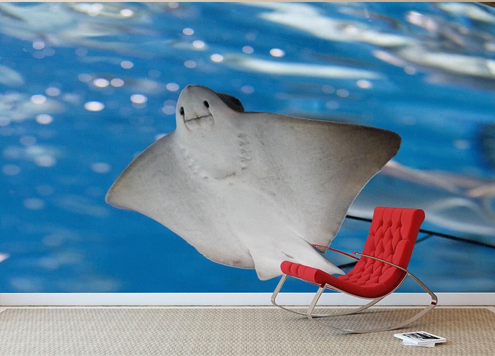 Sea stingray and marine life Wall Mural Wallpaper - Canvas Art Rocks - 3