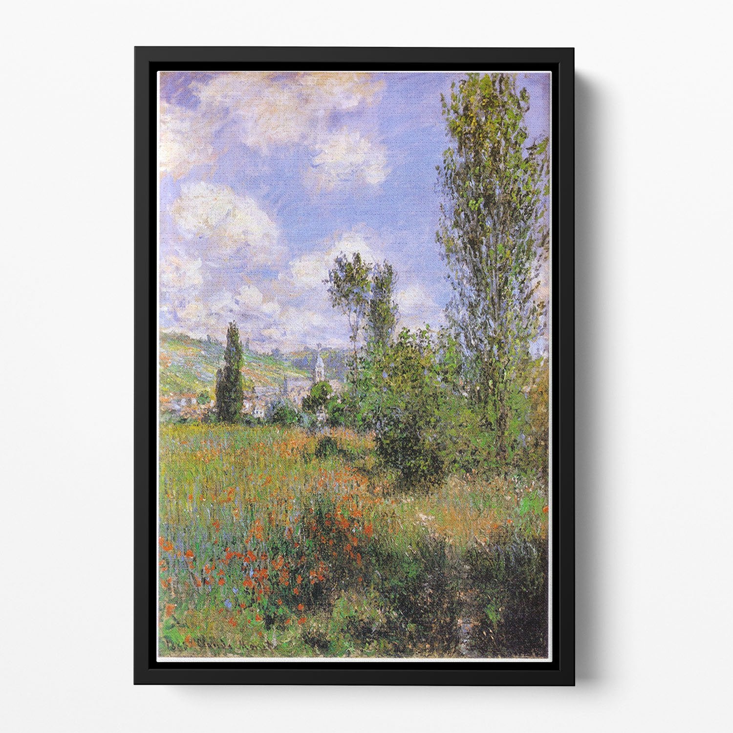 Sentier ile Saint Martin 1880 by Monet Floating Framed Canvas
