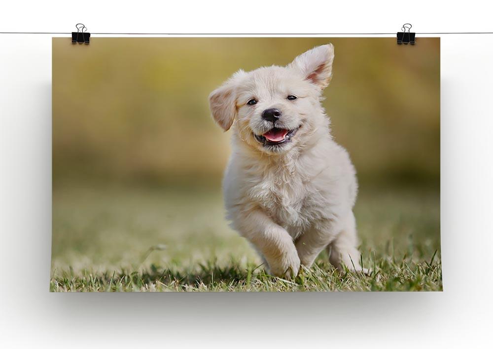 Seven week old golden retriever puppy outdoors Canvas Print or Poster - Canvas Art Rocks - 2