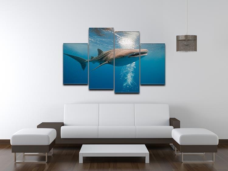 Shark 4 Split Panel Canvas  - Canvas Art Rocks - 3