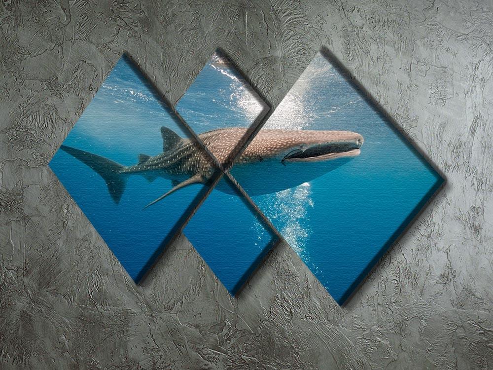 Shark 4 Square Multi Panel Canvas  - Canvas Art Rocks - 2