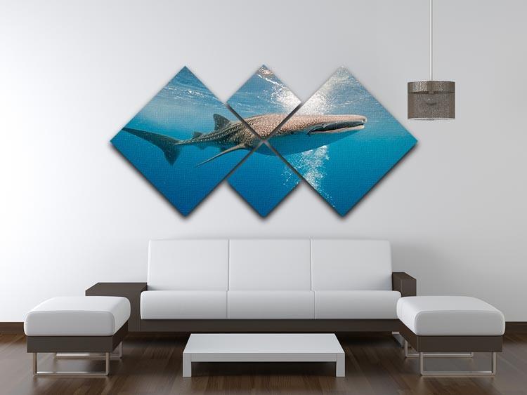 Shark 4 Square Multi Panel Canvas  - Canvas Art Rocks - 3
