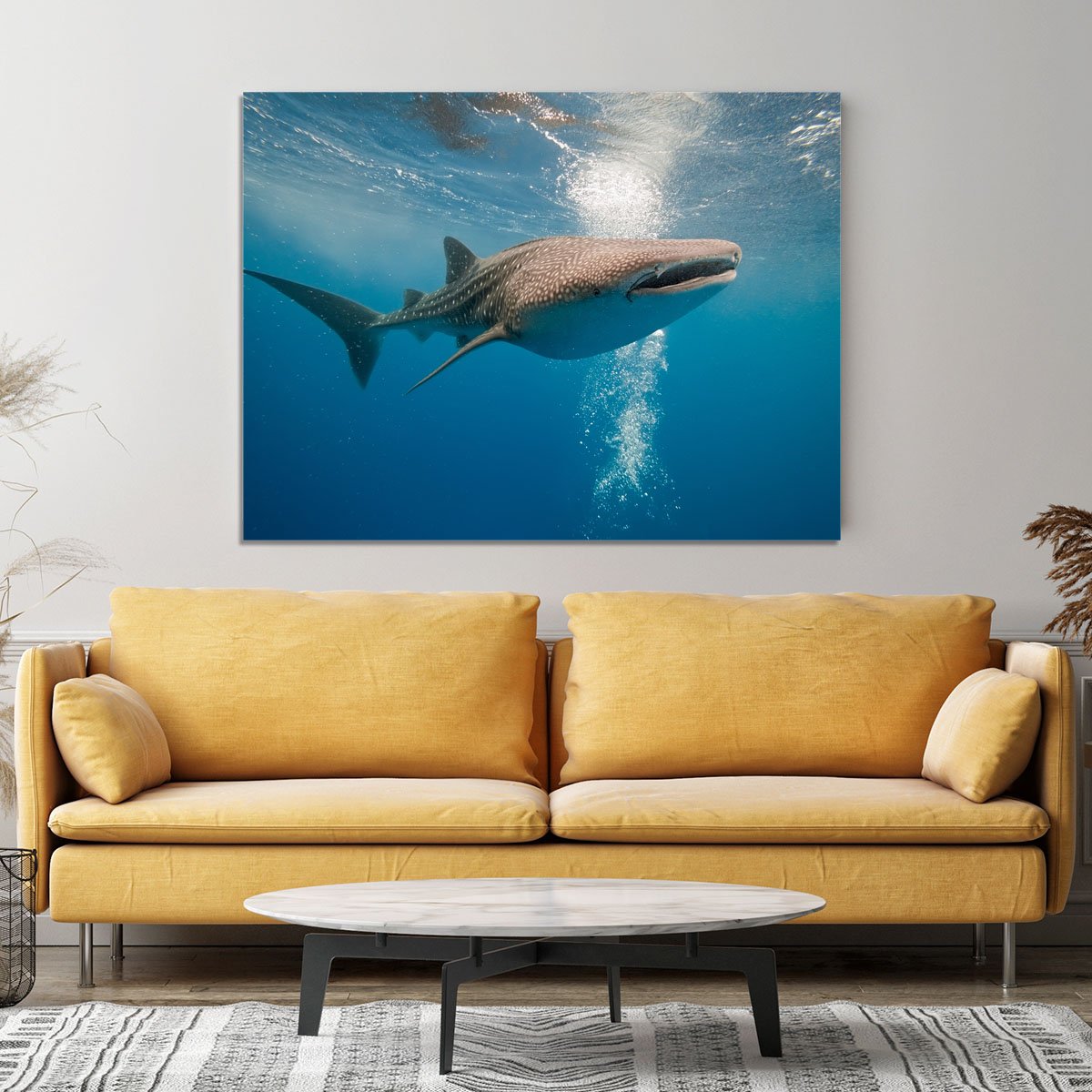 Shark Canvas Print or Poster