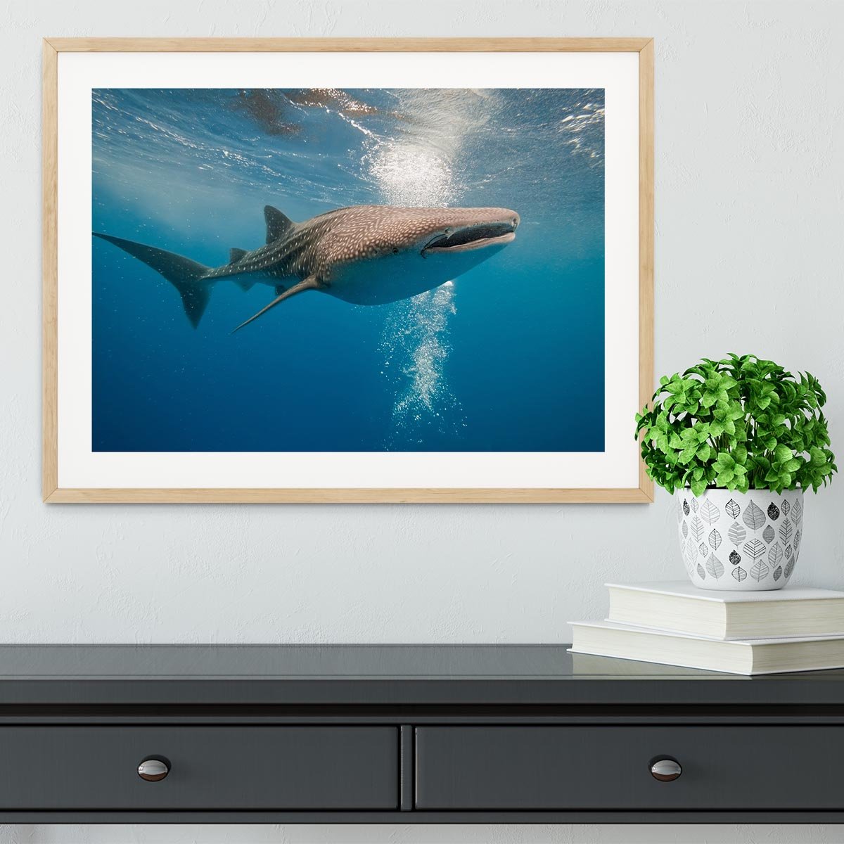 Shark Framed Print - Canvas Art Rocks - 3