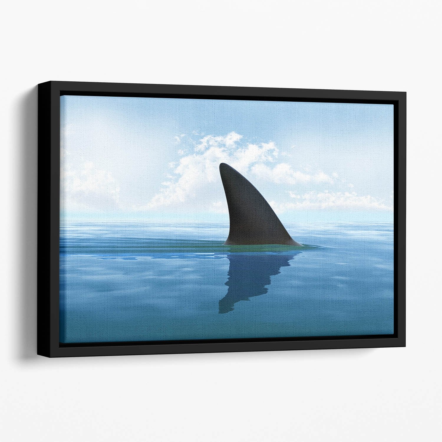 Shark fin above water Floating Framed Canvas