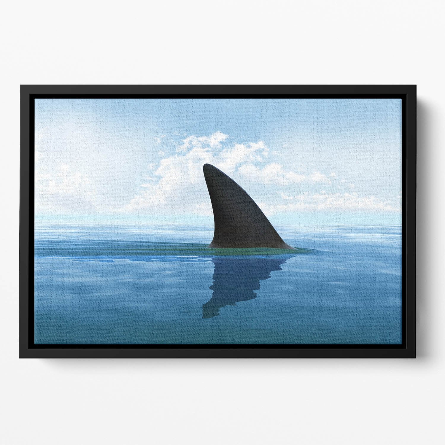 Shark fin above water Floating Framed Canvas