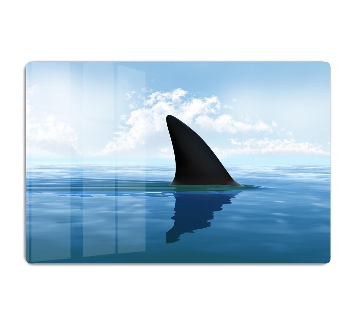 Shark fin above water HD Metal Print