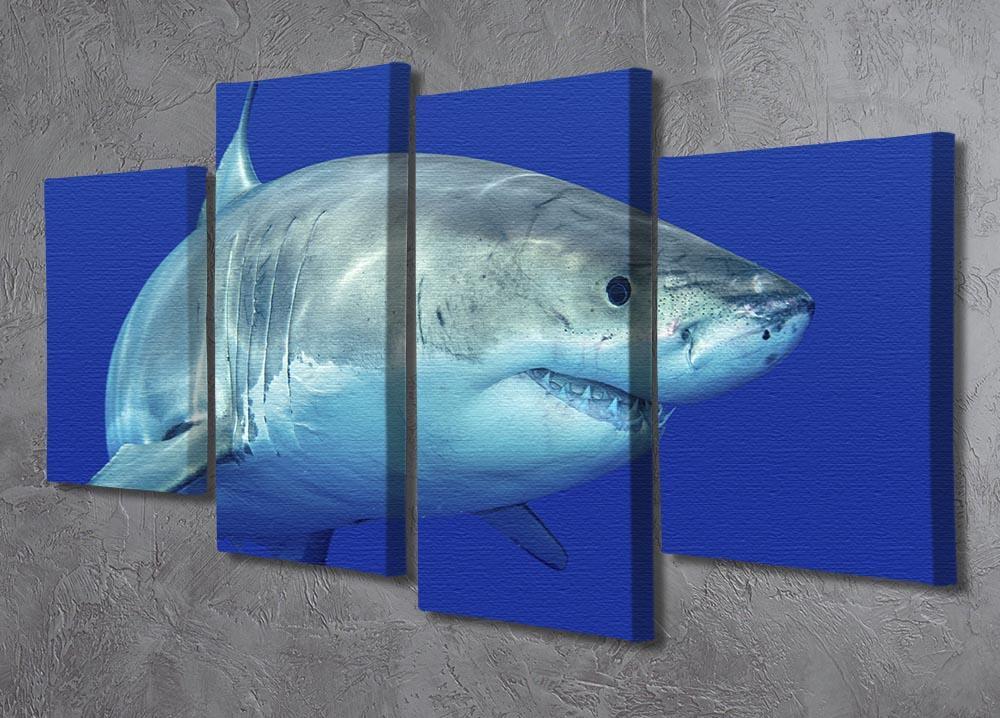 Shark swimming looking for food 4 Split Panel Canvas  - Canvas Art Rocks - 2