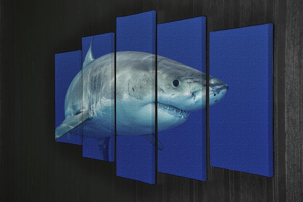 Shark swimming looking for food 5 Split Panel Canvas  - Canvas Art Rocks - 2