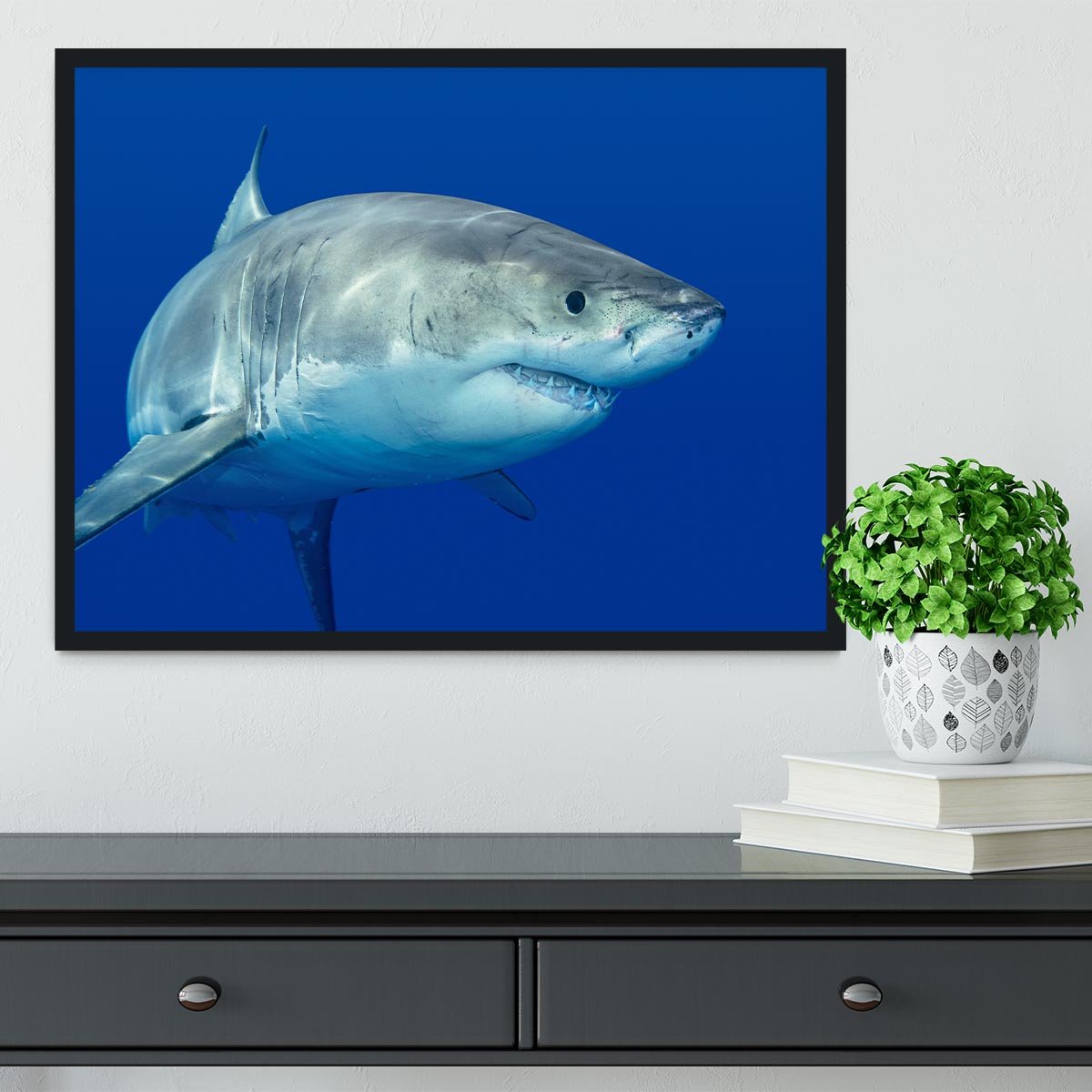 Shark swimming looking for food Framed Print - Canvas Art Rocks - 2