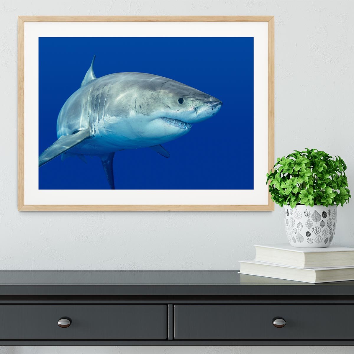 Shark swimming looking for food Framed Print - Canvas Art Rocks - 3