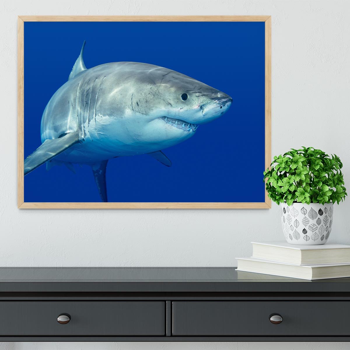 Shark swimming looking for food Framed Print - Canvas Art Rocks - 4