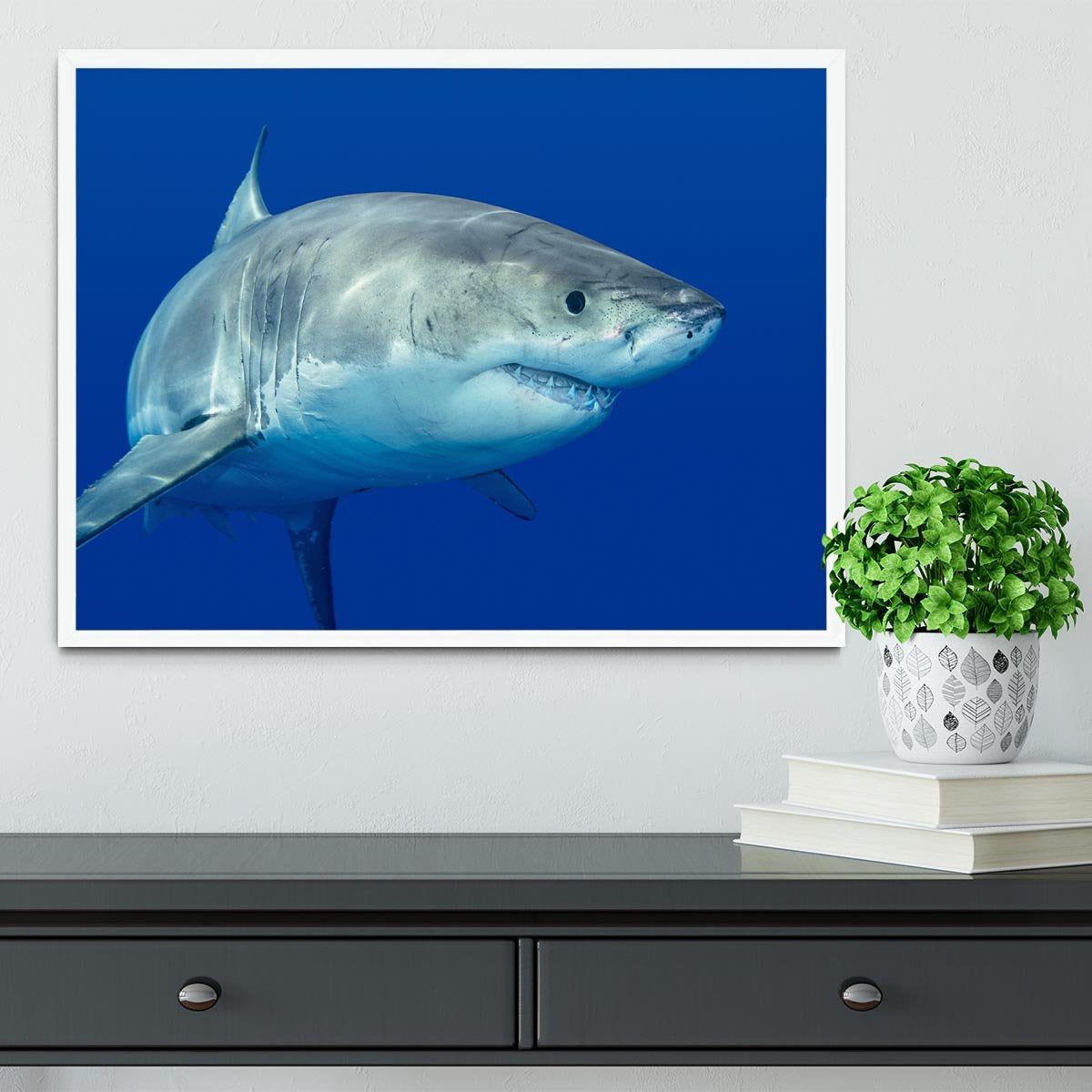 Shark swimming looking for food Framed Print - Canvas Art Rocks -6